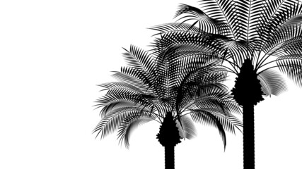 ヤシの木と空の風景_背景素材_シルエット_16:9