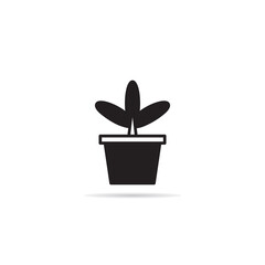 house plant  icon vector illustration