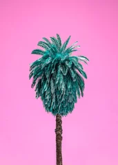 Fotobehang Snoeproze palmboom roze lucht