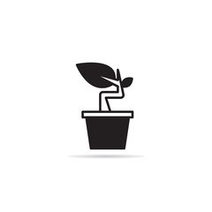 houseplant and tree icon vector illustration