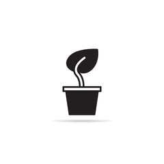 house plant icon vector illustration