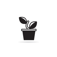 house plant icon vector illustration