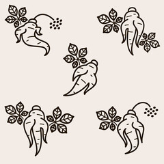 Red ginseng set. Collection icon red ginseng. Vector