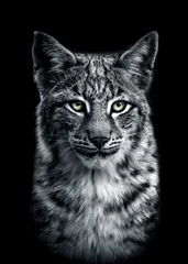 Fotobehang bnw portait of a lynx © Leny Silina Helmig