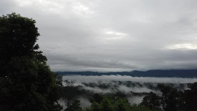 Foggy Forest Valley with Low Clouds and Dense Green Trees in Sajek Chittagong
