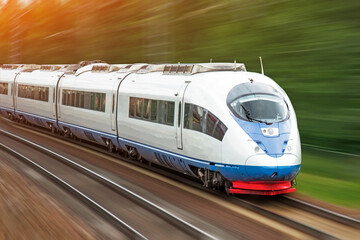 Modern high speed train at the rides through a green forest.
