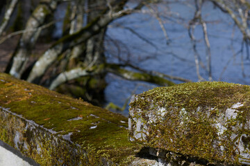 Czerwony, ceglany most nad rzeką. Stara przedwojenna budowla pokryta mchem. Słoneczny dzień, las, wiosna.
