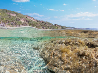 Split underwater view of La Speranza beach in springtime