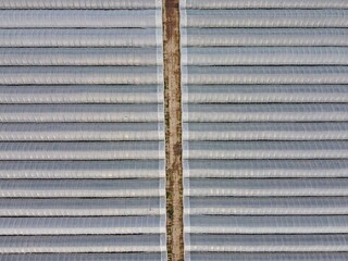 Aerial drone. Plastic greenhouses in Kent, England. Greenhouse plant in the UK.