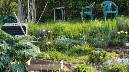 Flowers, vegetable plants, aromatic plants and garden chairs, in the vegetable garden, on the first days of spring