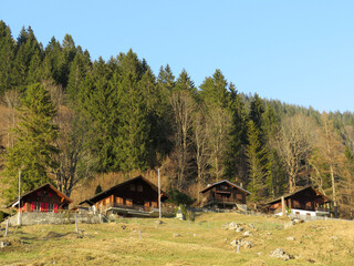 Mountain huts (chalets) or farmhouses and old wooden cattle houses in the alpine valley of Klöntal (or Kloental) and by the resevoir lake Klöntalersee (Kloentalersee) - Canton of Glarus, Switzerland