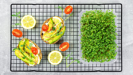 Growing microgreens at home. Recipes for sandwiches and snacks with microgreens of peas, arugula, broccoli. Quick meal variants with microgreens and avocados for breakfast served on baking rack.