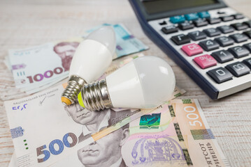 ukrainian hryvnia, calculator and energy saving light bulbs.
