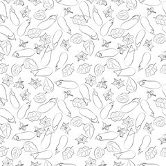 Vector pattern drawn strokes is seamless with set of eggplants in different positions, sliced, whole, eggplant leaves. Farm.