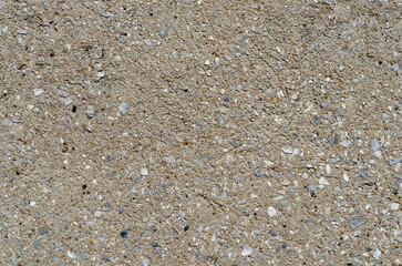 shell cement wall texture brawn grey background