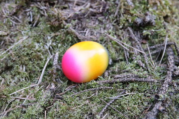 Eier suchen im Wald 