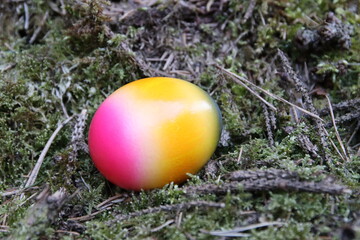 Eier suchen im Wald 