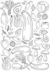 food coloring pages line art printable design fruits and vegetables healthy life  - obrazy, fototapety, plakaty