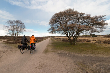 Cyclists ride through the beautiful Zuiderheide nature reserve between Laren and Hilversum.