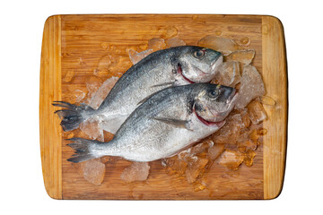 Gilt-head bream fresh raw fish dorada without scales and gills, ready for cooking on a wooden board. Picture of dorade for the fish seafood market menu