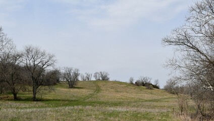 Path on a Hill in a Field