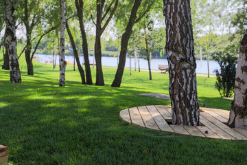 Tree in the park. Protective circle of boards around the trunk of the tree.