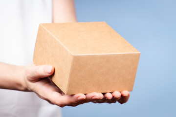 Female hands holding brown rectangular cardboard box on light blue background. Mockup parcel box....