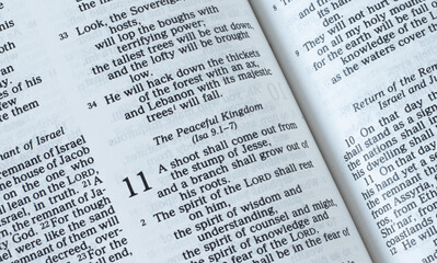 The peaceful kingdom of God Jesus Christ, second coming prophecy in an open Holy Bible Book. The...