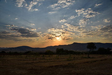 Fototapeta na wymiar sunset in the plain of La Mancha
