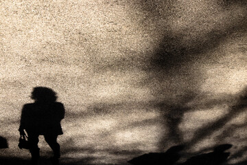 Silhouette shadow of a young woman walking - 496688824