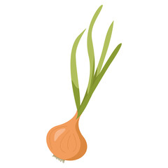Onion with green feathers on a white background. EPS 10.