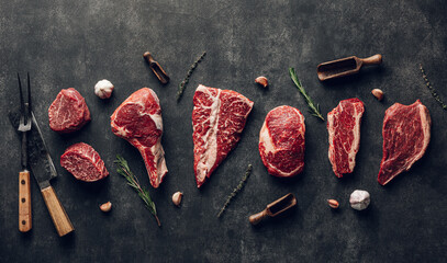 Raw meat types. Rib eye, striploin, tomahawk t-bone, ribeye and tenderloin beef steak