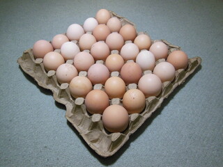 Fresh chicken eggs in a cardboard tray