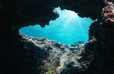 Underwater cave exit in the ocean with sunlight through water surface, south Pacific, Polynesia