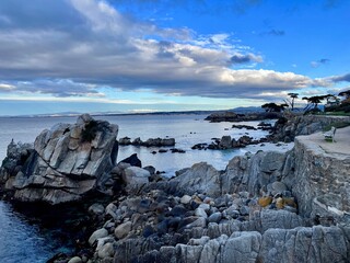 Coastline Walk in Monterey, CA