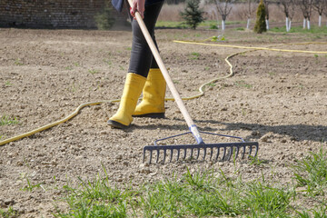 Farmer using a rake to create a fine top layer of soil.
Planting grass. Process of sowing and...