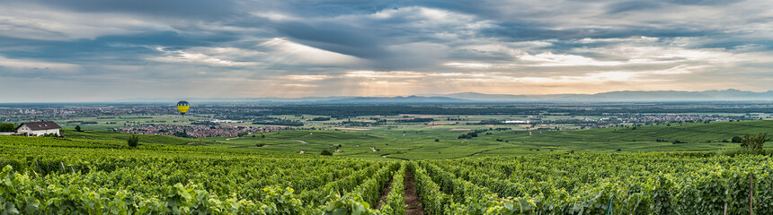 Fototapeta na wymiar Alsace panorama