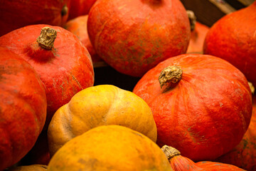 bright orange pumpkins for sale in a supermarket.