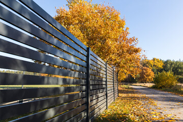 Fence, road to the forest, trees in autumn.