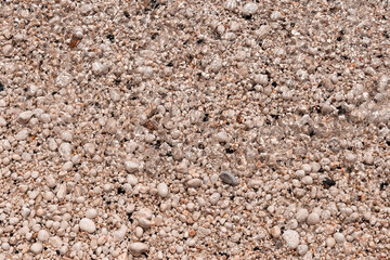 the texture of wet stone shore