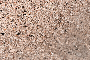 the texture of wet stone shore