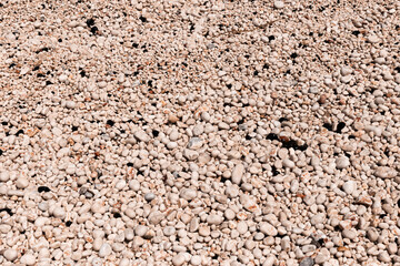 the texture of wet stone shore