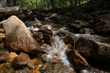 View of the stream with a rocky bed flowing across the forest.