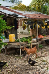 Targ warzywny, Afryka, Zanzibar © Mina