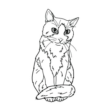 Sitting cute cat. Coloring. Black and white vector illustration.