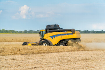 Combine harvesting wheat field on a falmland.