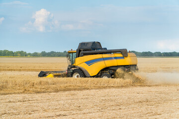 Obraz premium Combine harvesting wheat field on a falmland.