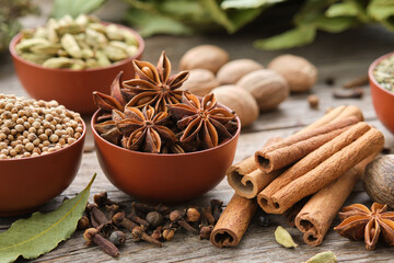 Bowls of aromatic spices: anise, coriander, cardamom pods. Gloves, cinnamon sticks, nutmegs, laurel leaves. Ingredients for healthy cooking. Ayurvedic remedies. - obrazy, fototapety, plakaty