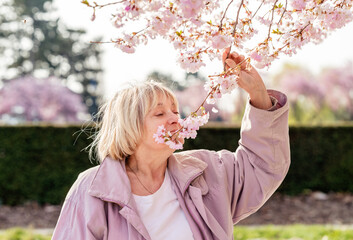 Fototapeta premium Portrait of senior woman smelling pink blooming sakura flowers. Pensioner enjoys cherry blossom aroma. Seasonal allergy.