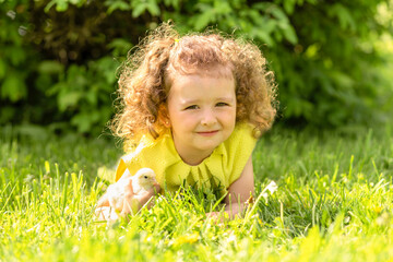 portrait of cute little girl with yellow chicken on hands on green grass outdoors. happy easter kids concept. spring child holiday